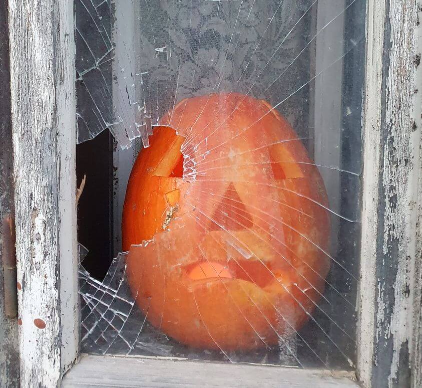 pumpkin as seen through a broken window